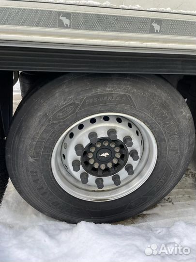 Полуприцеп рефрижератор Schmitz Cargobull SKO 24, 2024