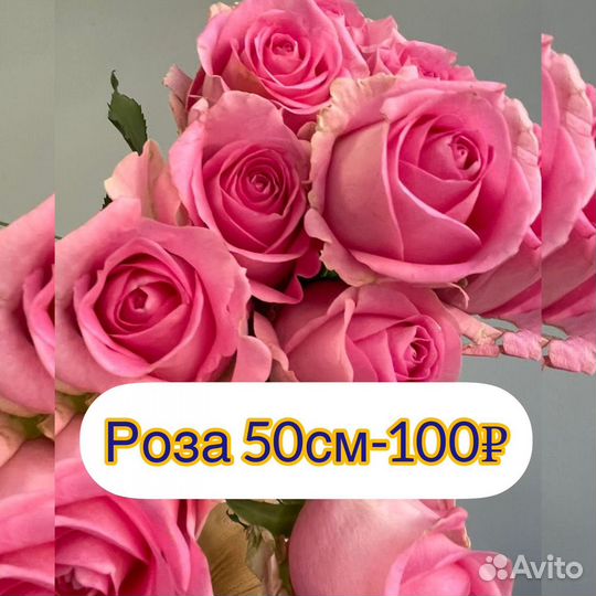 Цветы розы и букеты с доставкой