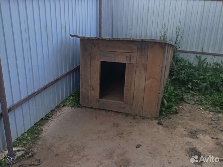 Будка для собаки