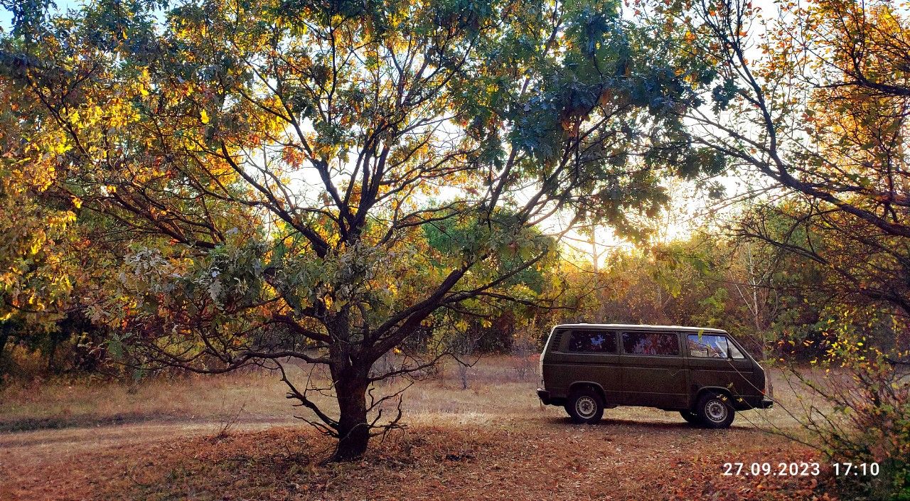 Volkswagen Transporter: фото владельца