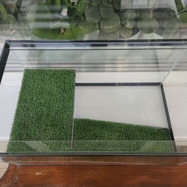 Аквариум для красноухой черепахи 25 литров