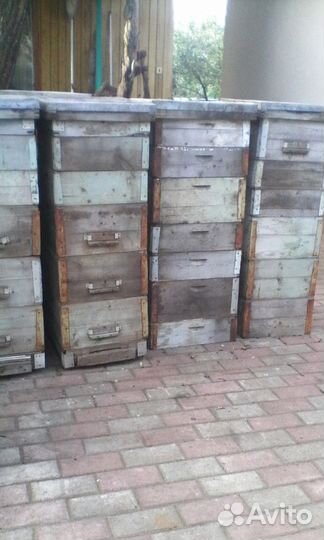 Оборудование для пасеки