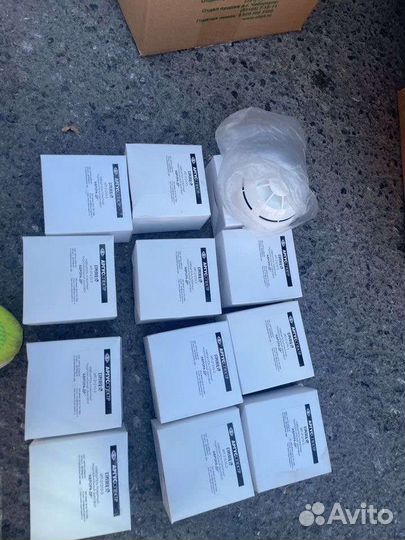 Аврора др дор дн стрелец