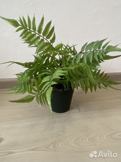 Новые искусственные растения в горшках