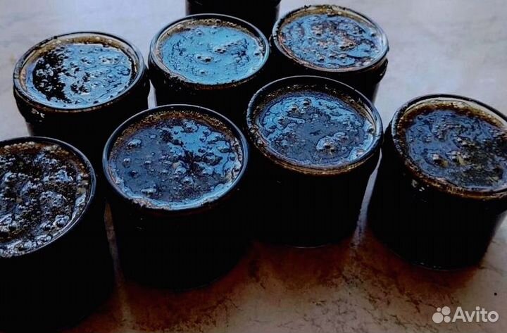 Интенсификатор мужской силы