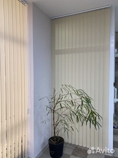 Вертикальные жалюзи лайн темно бежевый