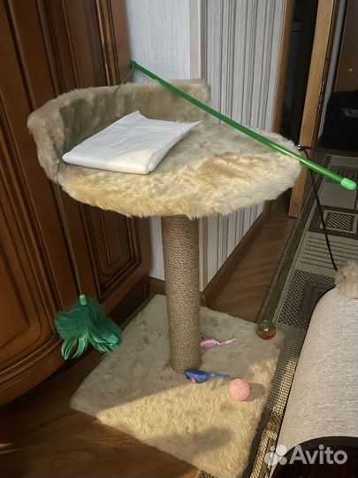 Домик когтеточка