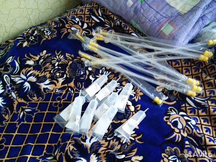 Племенной хряк