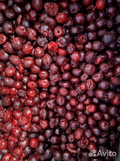 Вишня без косточки