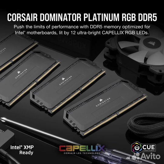 Dominator platinum RGB 32GB DDR5 7200 C34