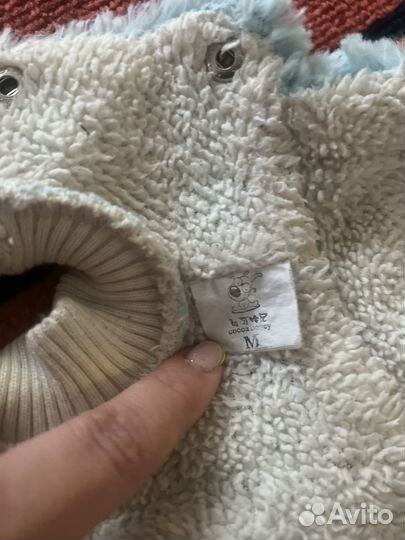 Одежда для собак