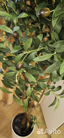 Олива искусственная