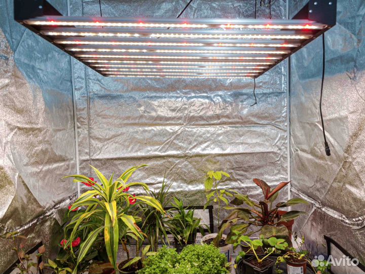 Flasher 400 iruvs (Quantum Board)