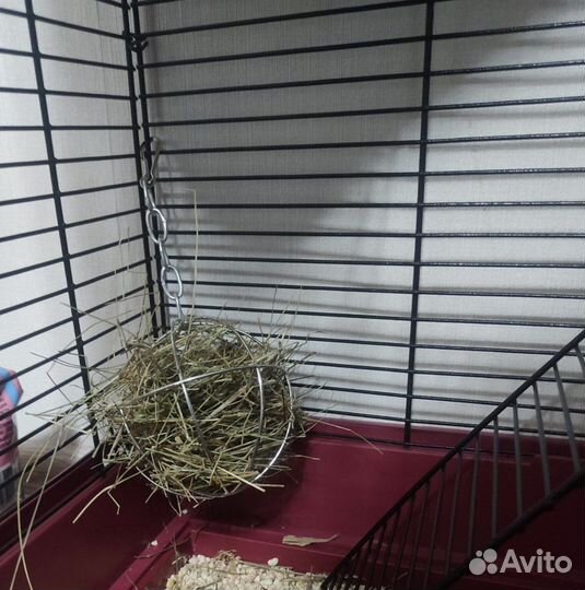 Кормушка для сена, подвесная, для грызунов