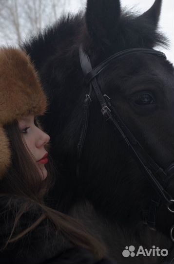 Фотограф новосибирск, бердск