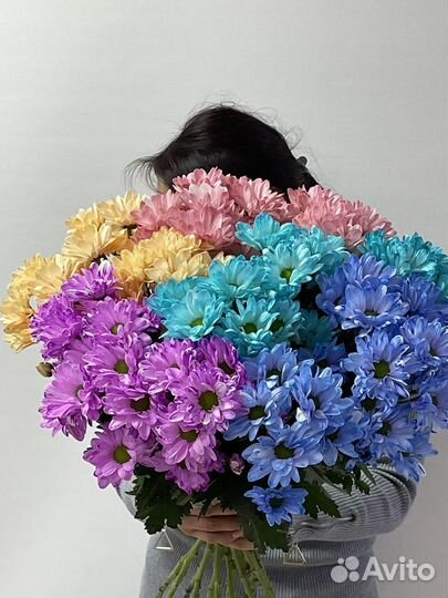 Хризантемы букет доставка 51 25 15
