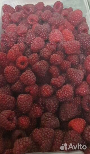 Малина ягода