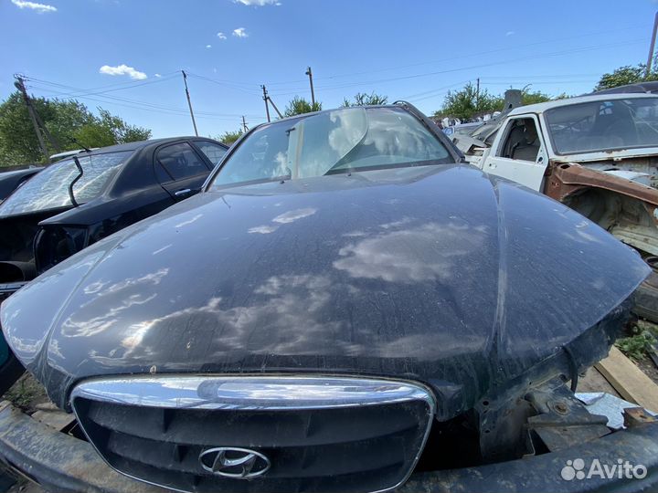 Капот Hyundai Elantra