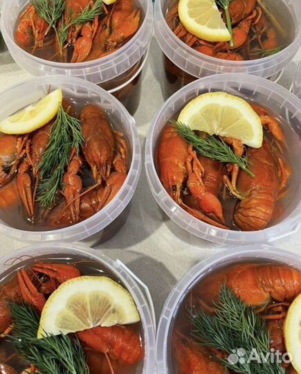 Раки живые мелко- средне-крупные, доставка, варка