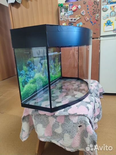 Аквариум понорамный