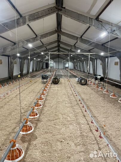 Оборудование для птицыфабрик