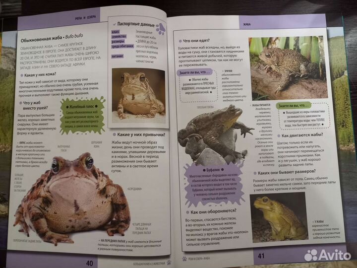Энциклопедия про животных