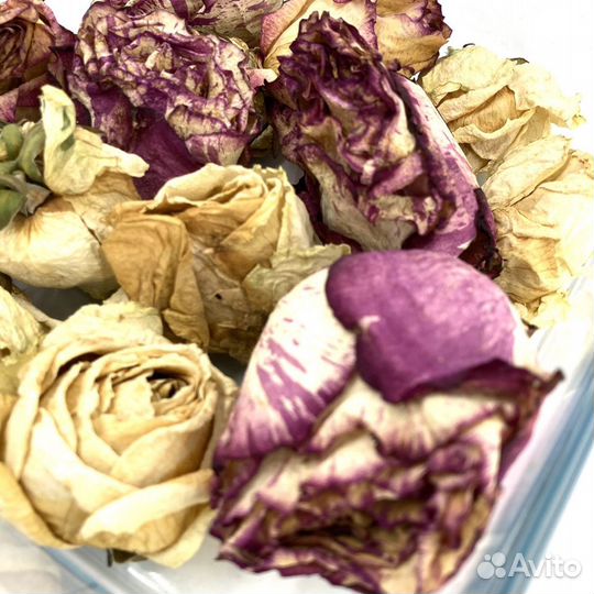 Сухоцветы розы, бутоны роз сухие