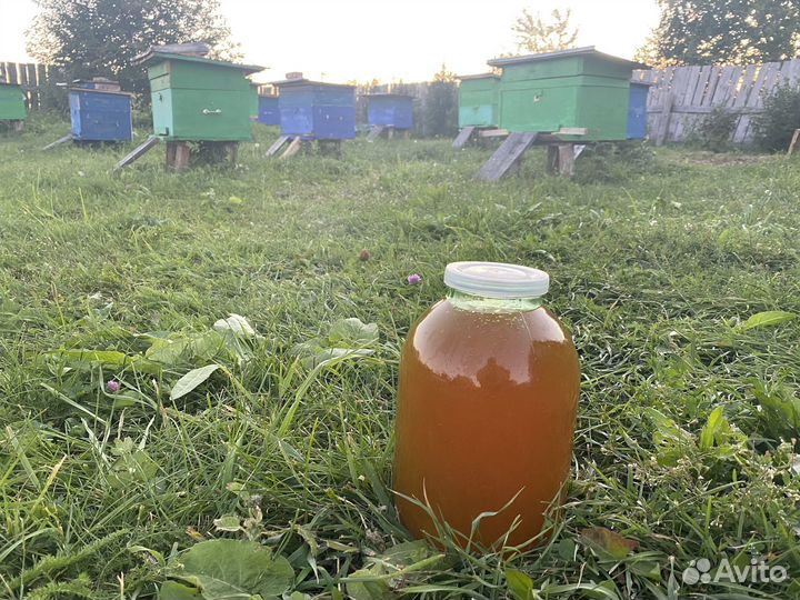 Мед (мёд) 2023 года со своей пасеки
