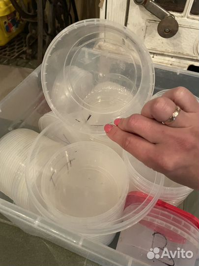 Контейнер пластиковый