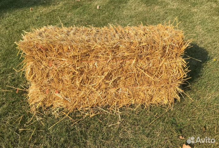 Солома в тюках в Голицыно