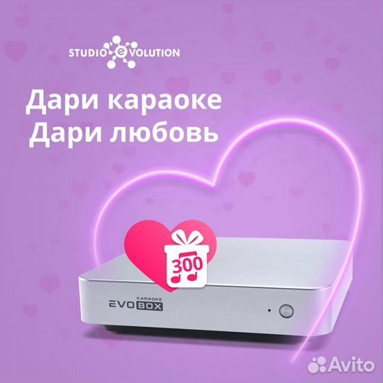 Караоке системы Evolution