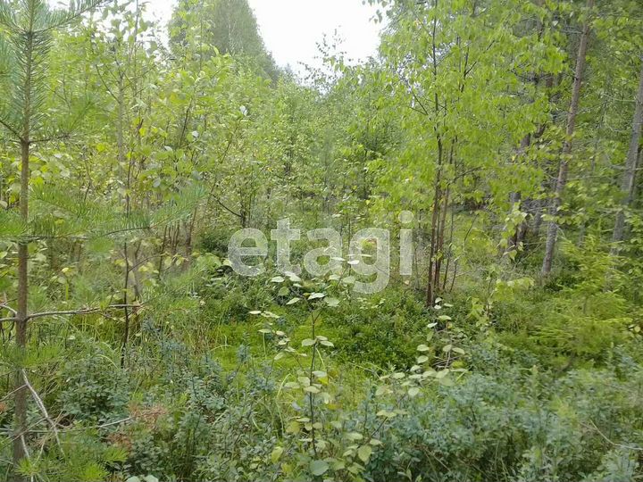 Участок 10 сот. (СНТ, ДНП)