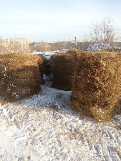 Продам солому в рулонах