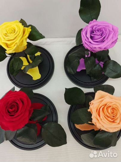 Роза в колбе