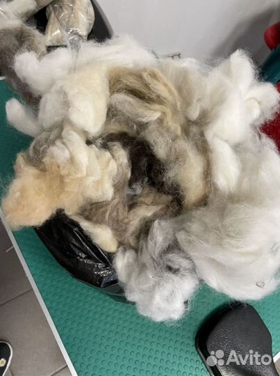 Собачья шерсть