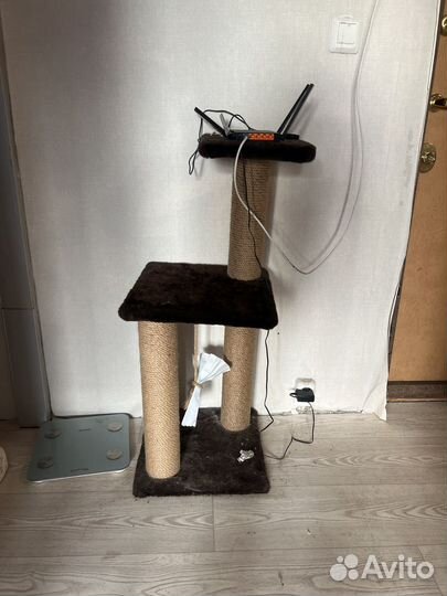 Когтеточка для кошек