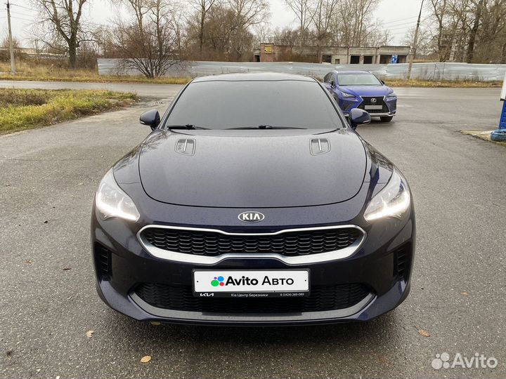 Kia Stinger 2.0 AT, 2022, 22 159 км