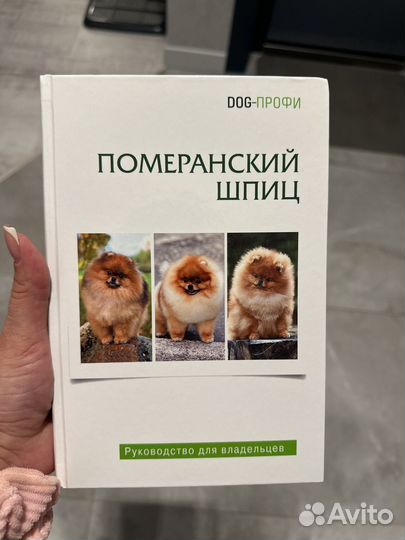 Померанский шпиц