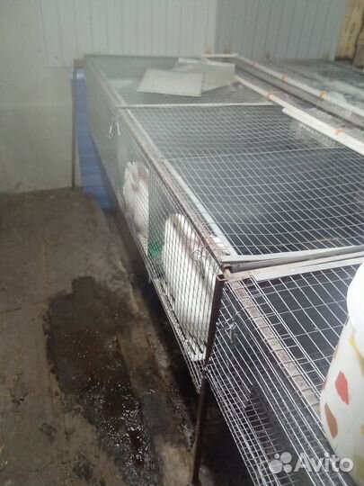 Клетки для кроликов полупромышленные и бройлеров