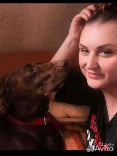 Передержка питомцев в домашних условиях