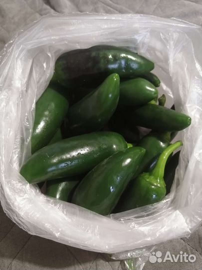 Перец халапеньо