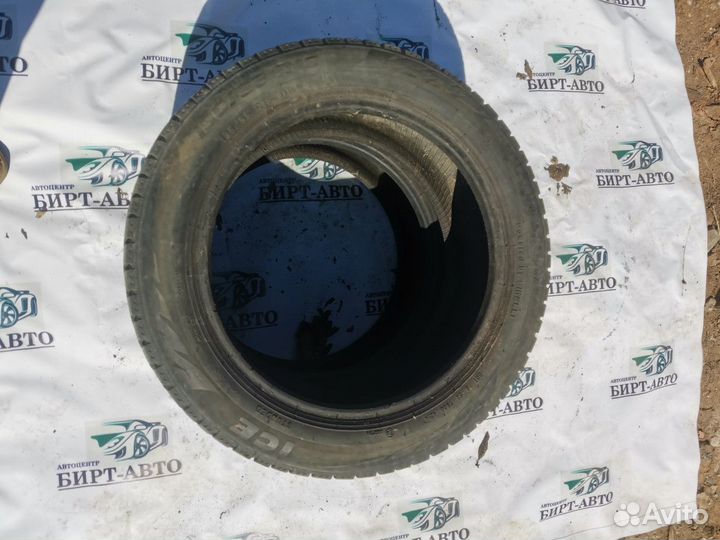 Formula Ice 195/55 R16