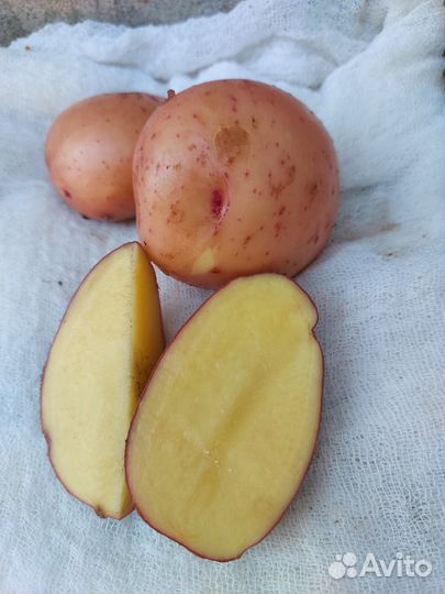 Продукты питания