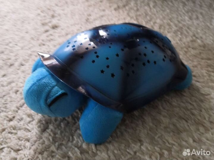 Черепаха ночник