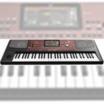 Korg PA700 синтезатор профессиональный