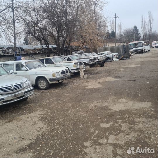 Разбор волги