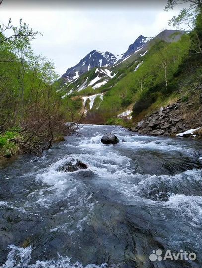 Камчатка летом турпоездка экспедиция 5-9 дн