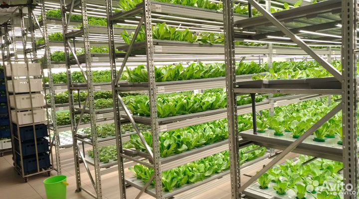 Разнорабочий