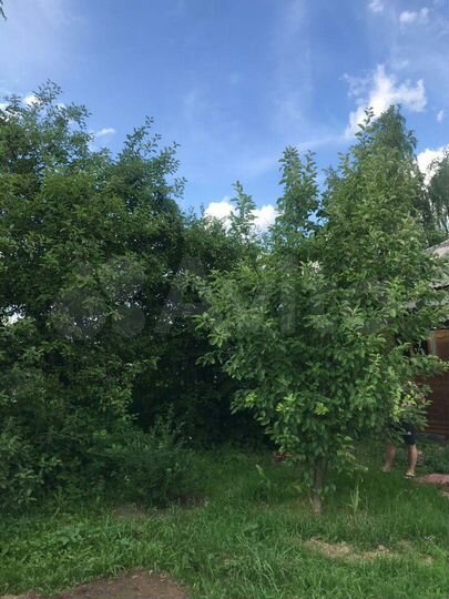 Участок 5 сот. (ИЖС)