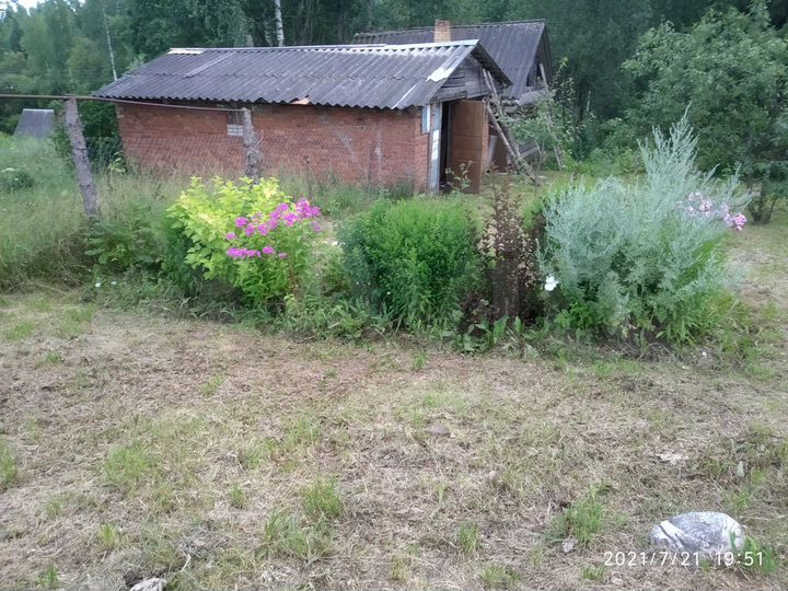 Дом 54 м² на участке 22 сот.